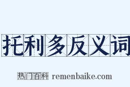 托利多反义词是什么意思的图片